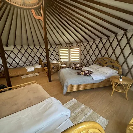 Brzozowy Zagajnik אוהל מפואר *