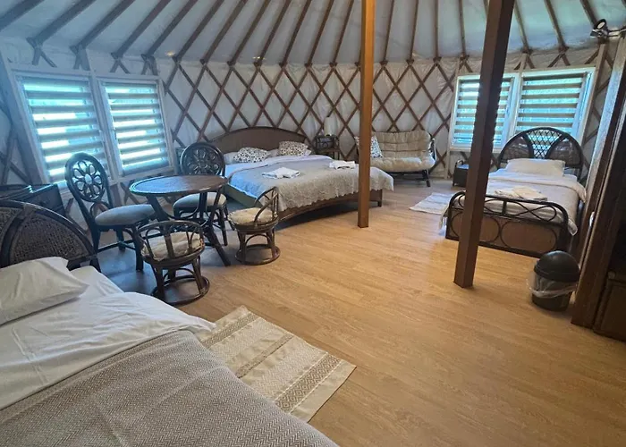 Brzozowy Zagajnik * אינוואלד