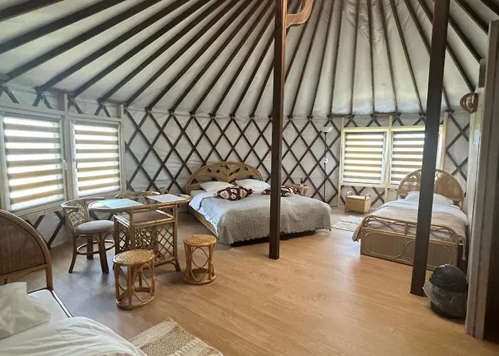 Brzozowy Zagajnik אינוואלד